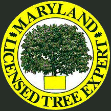 Baltimore Maryland Licensed Tree Expert