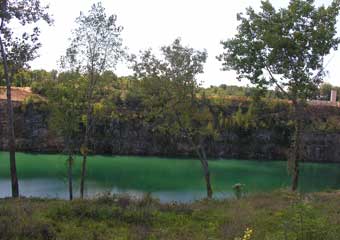 Tree Removal Quarry View After